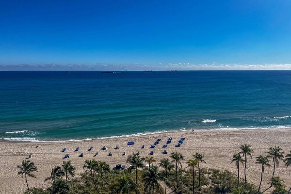 Dove il Natale si festeggia sotto le palme: la città USA che trasforma le vacanze in estate