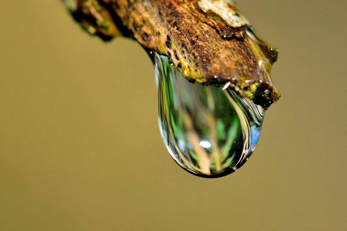 Non tolgo mai le piante dal balcone quando piove: mi basta questo trucco per tenerle al sicuro